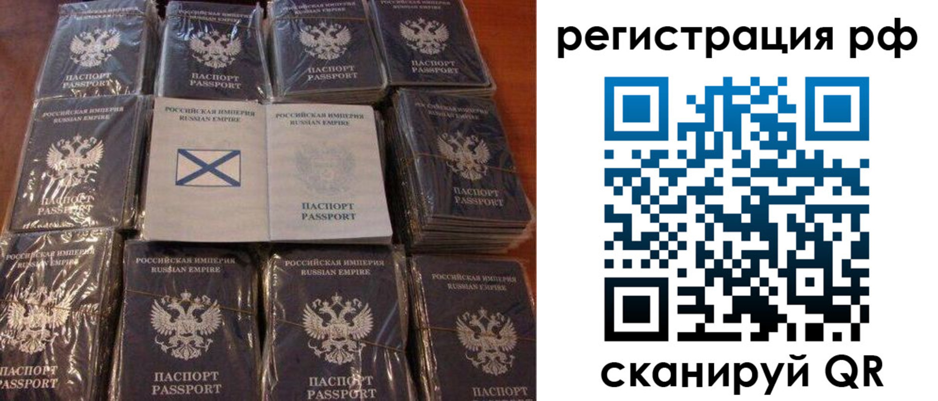 найти адрес прописки в Вольске